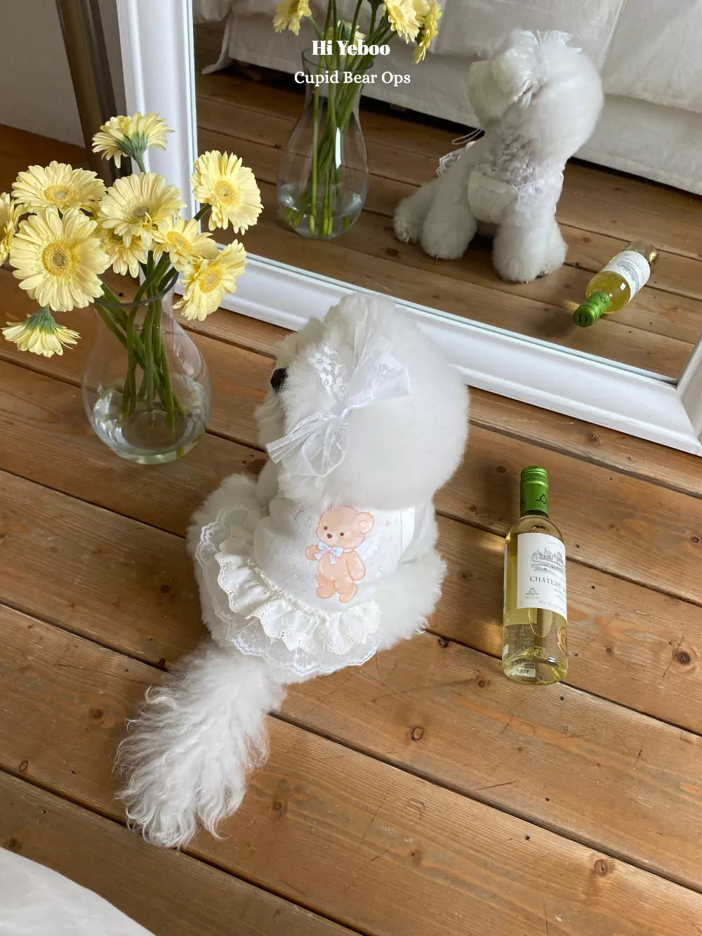 Cupid bear ops (White)