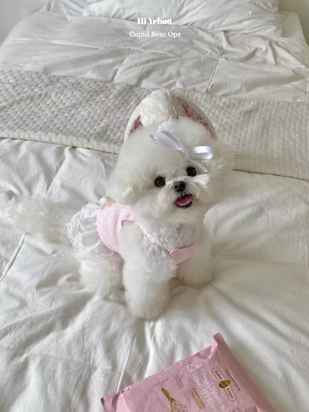 Cupid bear ops (Pink)