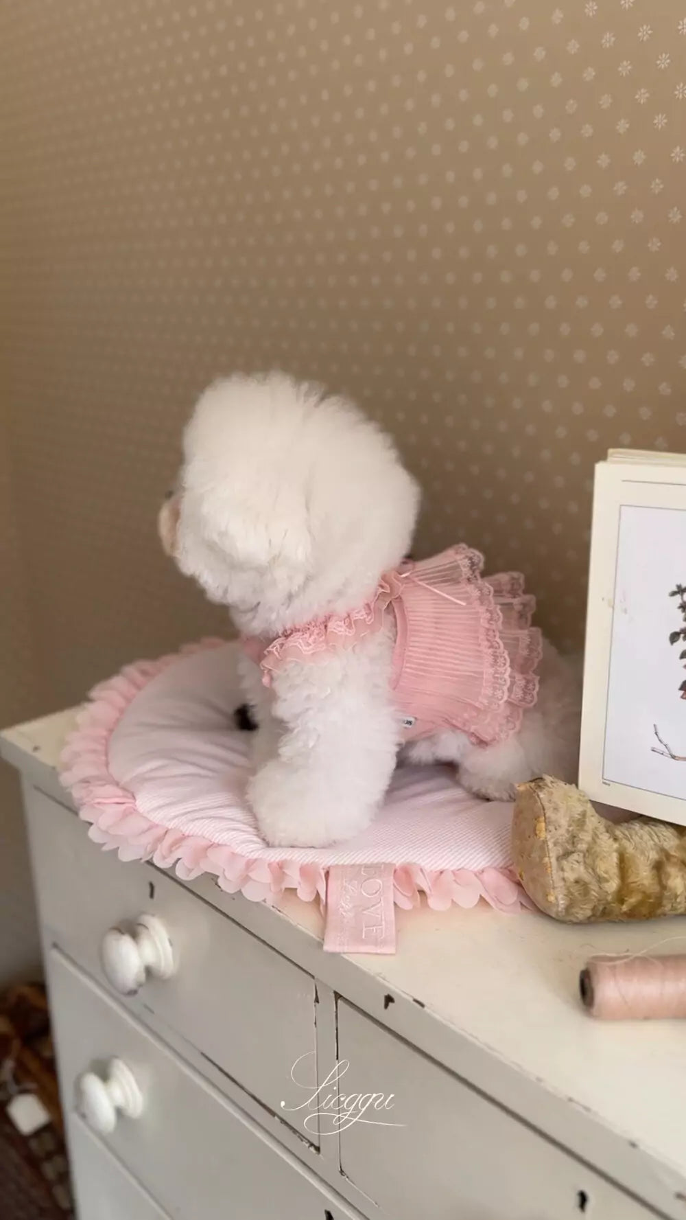 [4th] Pure Pink Dress
