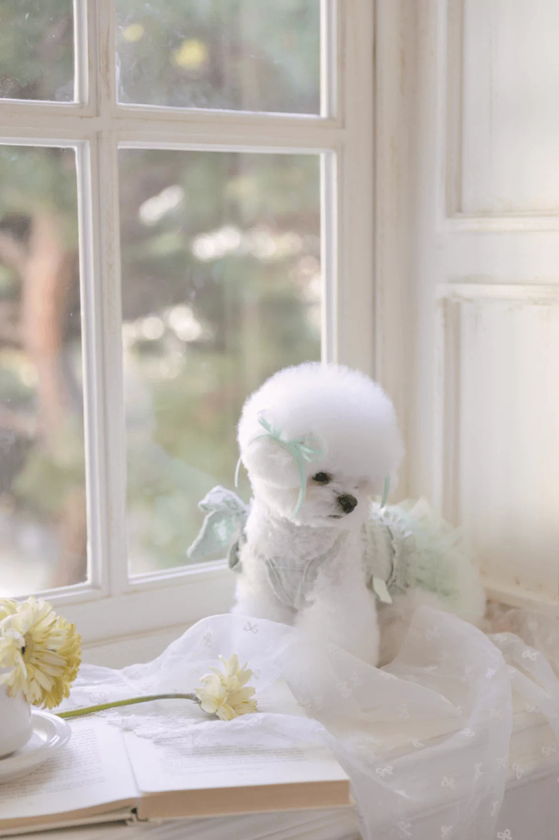 2nd Fairy Tutu One Piece (Mint Green)