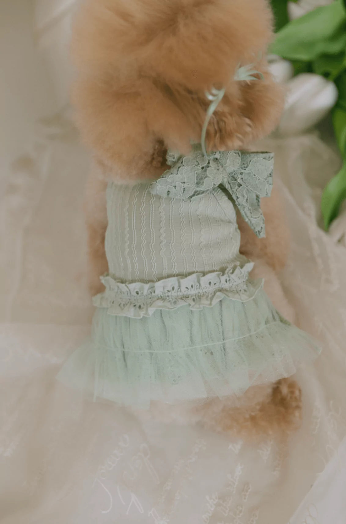 2nd Fairy Tutu One Piece (Mint Green)