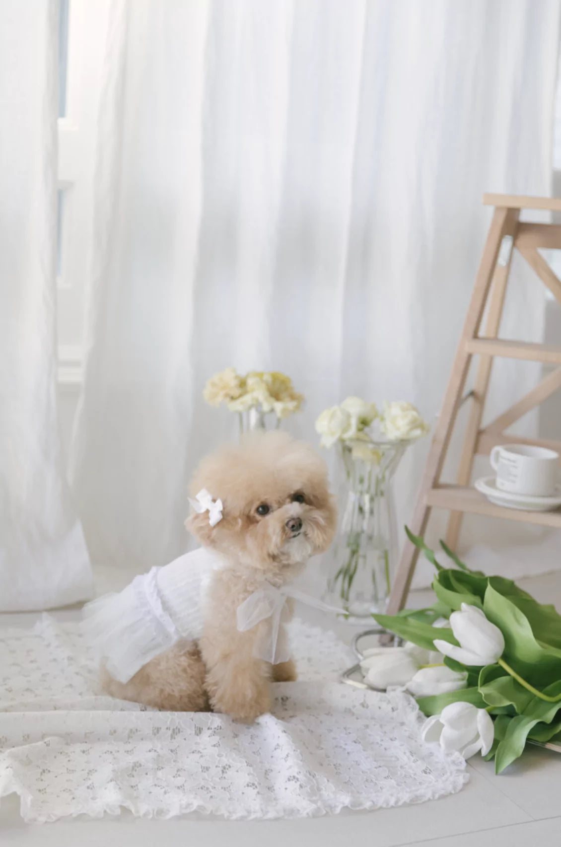 2nd Fairy Tutu One Piece (White)