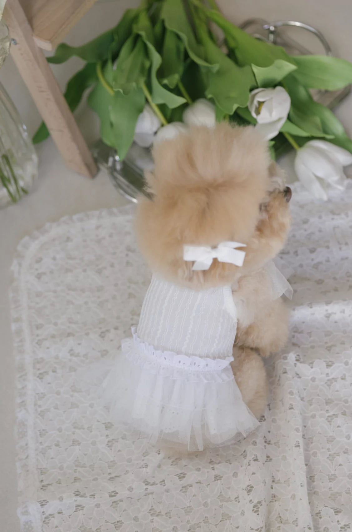 2nd Fairy Tutu One Piece (White)