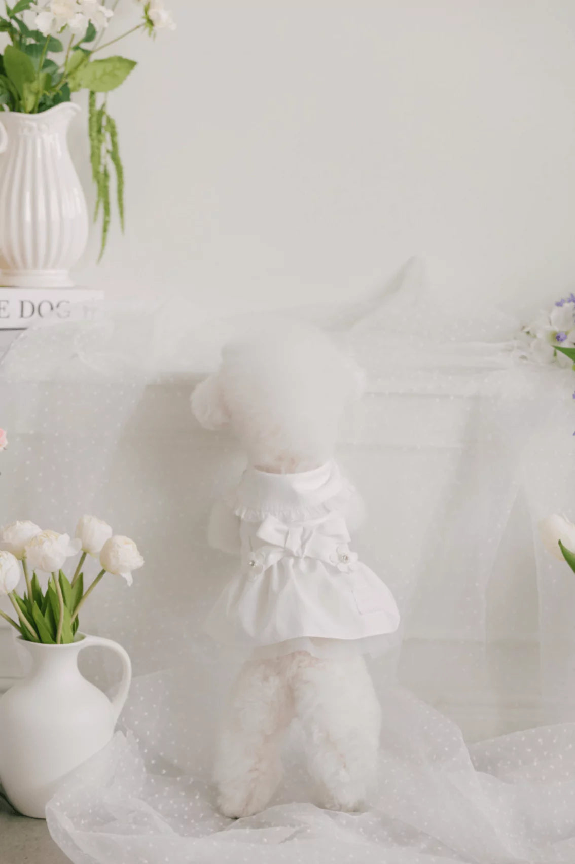 Blossom Cape Coat (White)