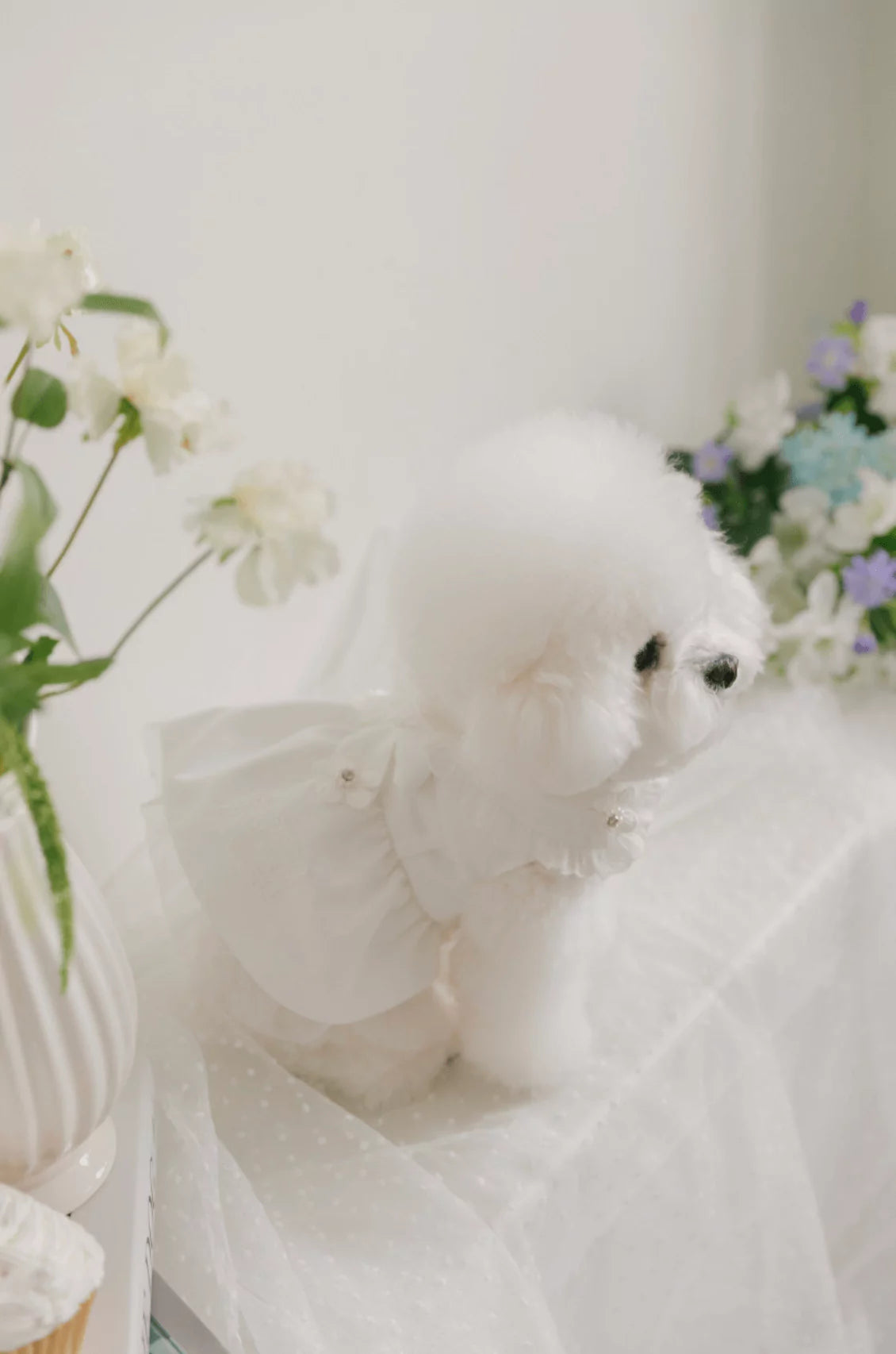 Blossom Cape Coat (White)