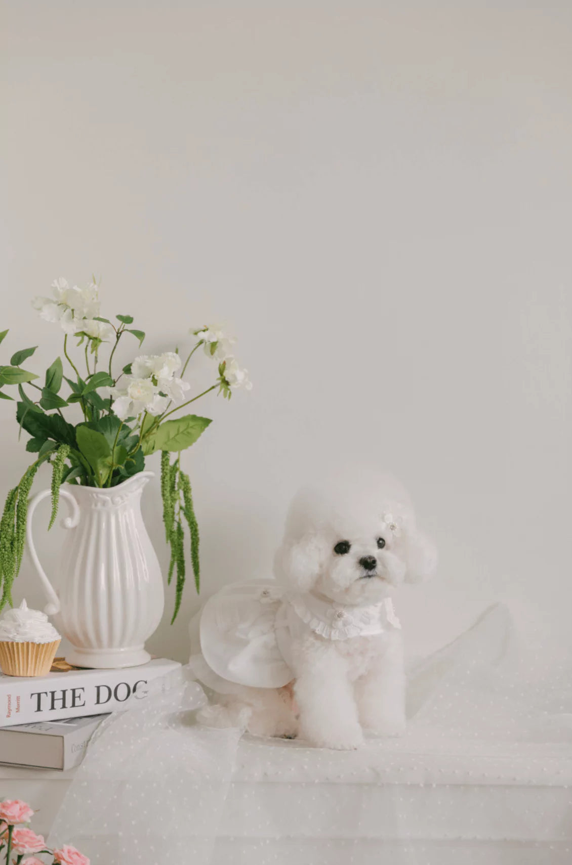 Blossom Cape Coat (White)