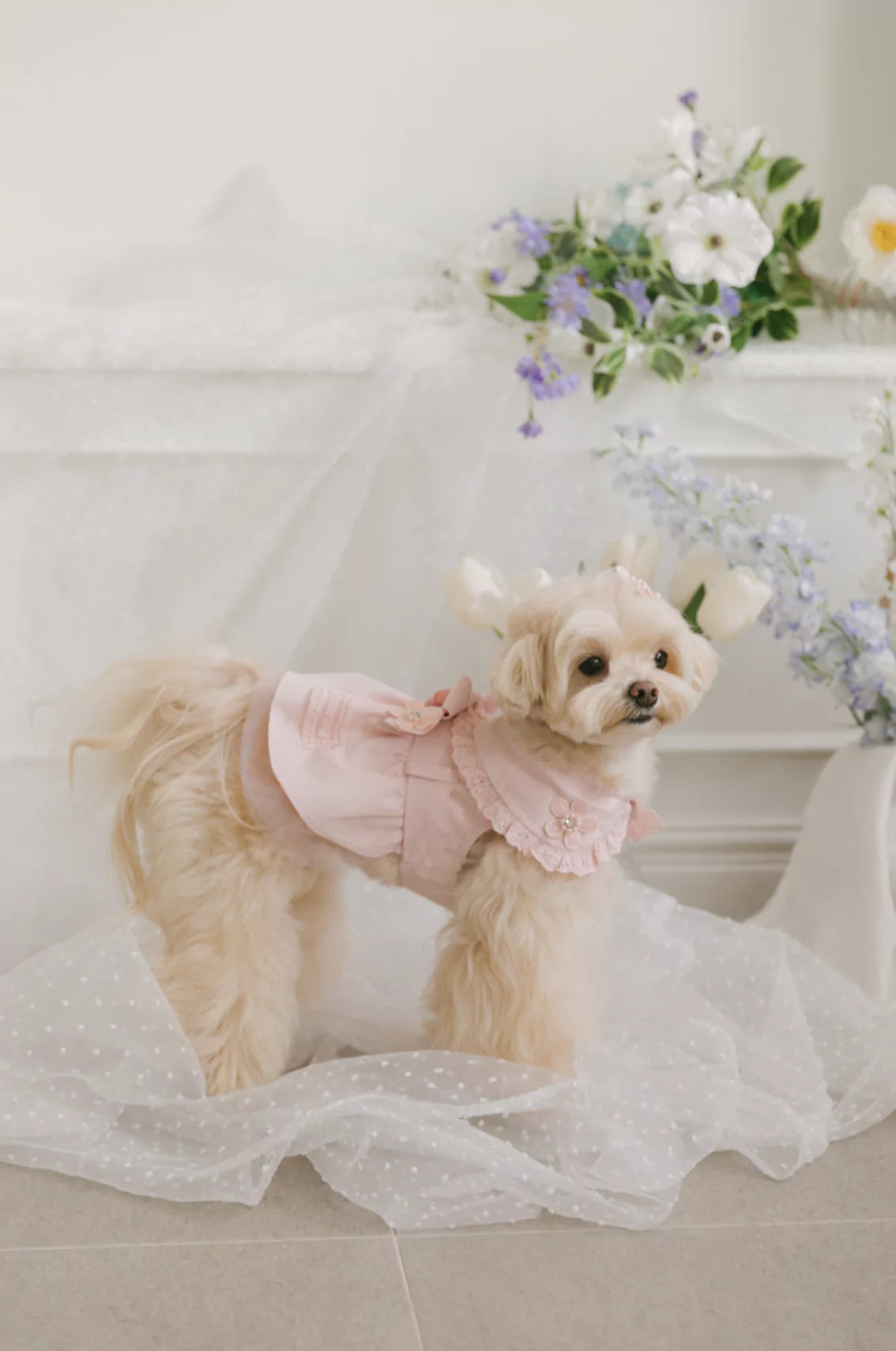 Blossom Cape Coat (Pink)