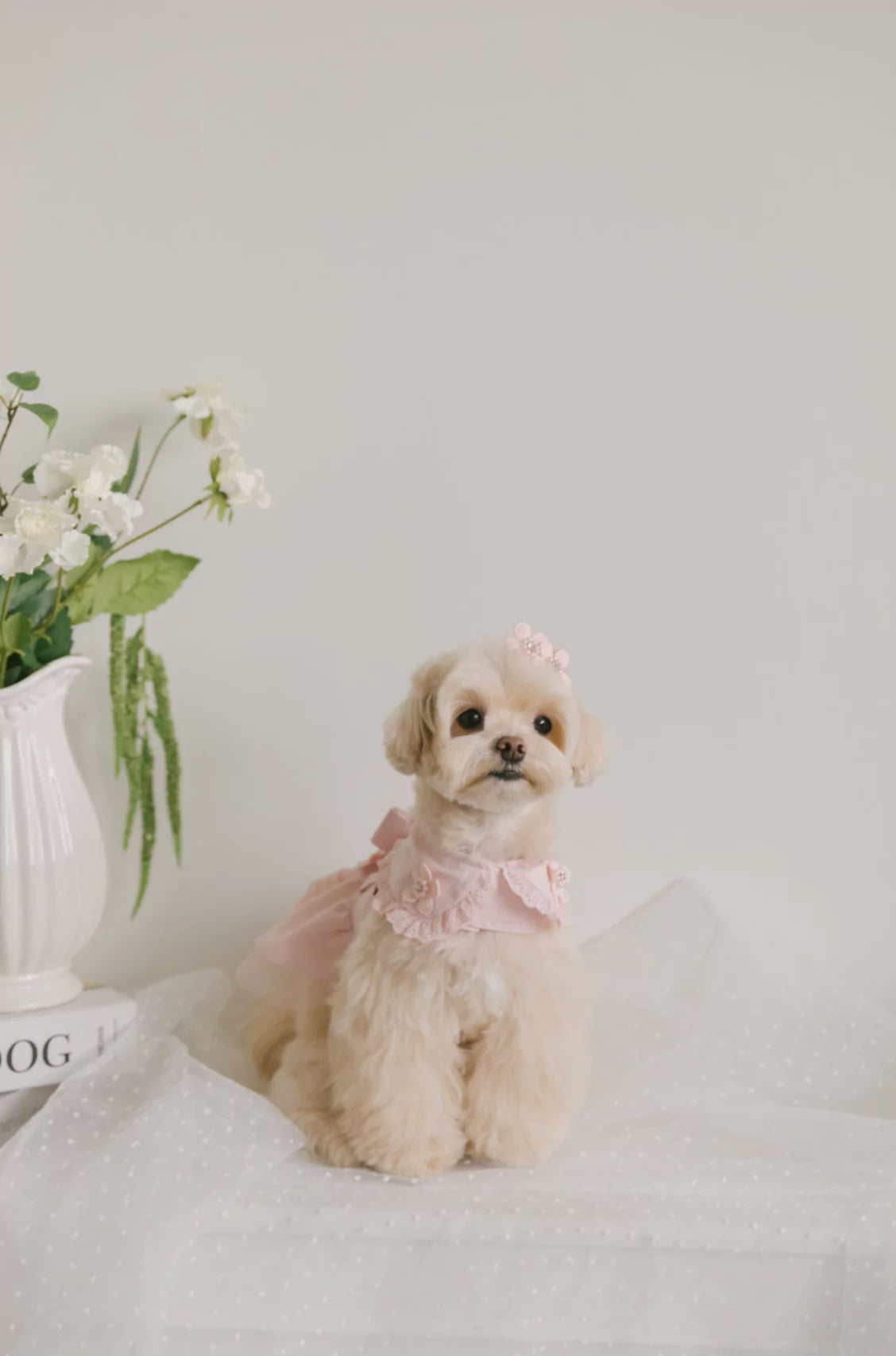 Blossom Cape Coat (Pink)