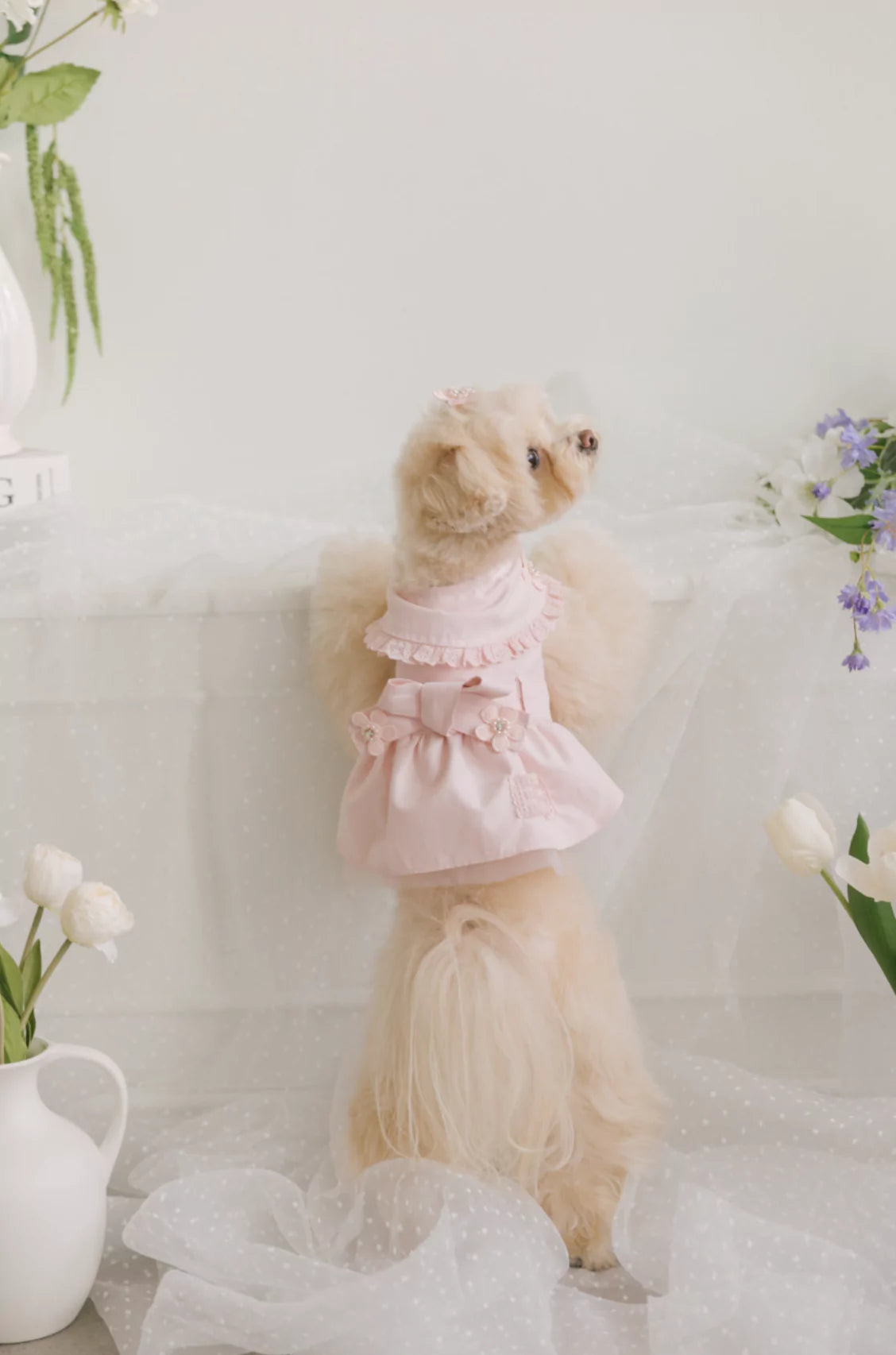 Blossom Cape Coat (Pink)