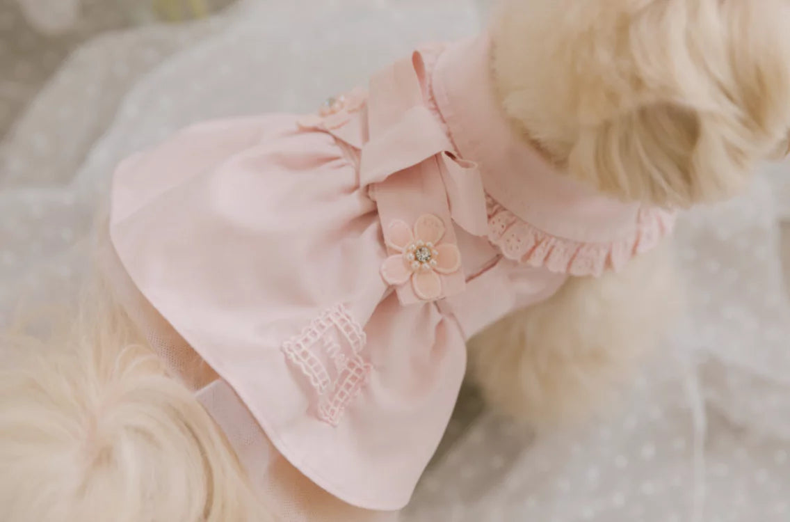 Blossom Cape Coat (Pink)