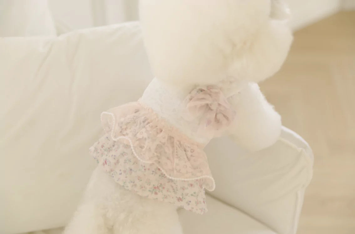 Sugar Sugar Top & One Piece (Peach)