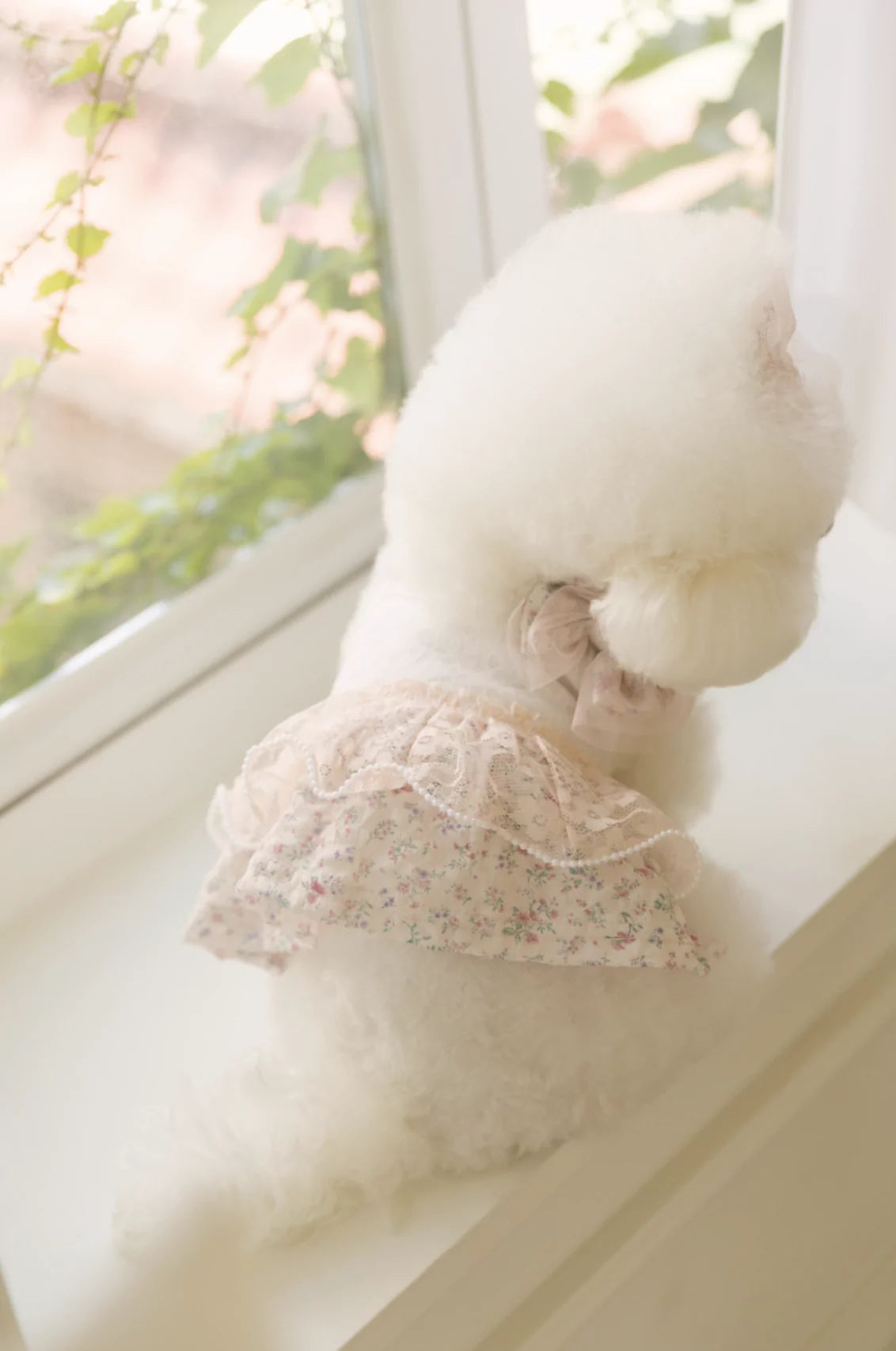 Sugar Sugar Top & One Piece (Peach)