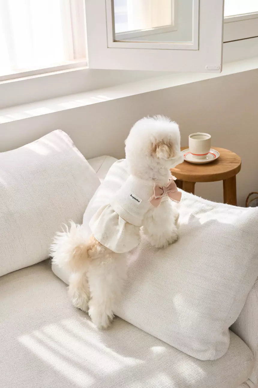 Little Etoile Dress (Ivory)