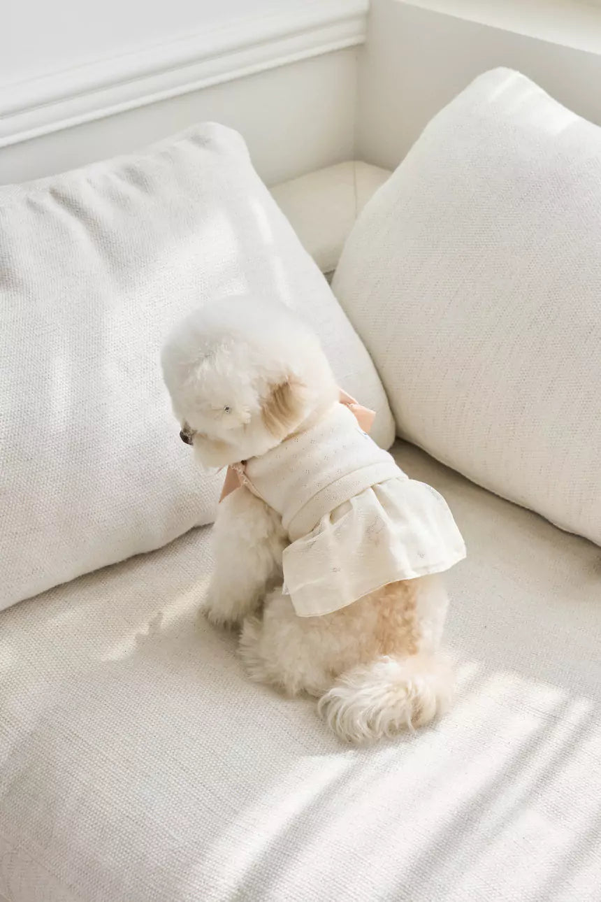 Little Etoile Dress (Ivory)