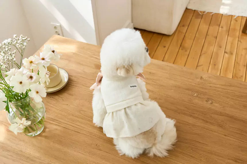 Little Etoile Dress (Ivory)