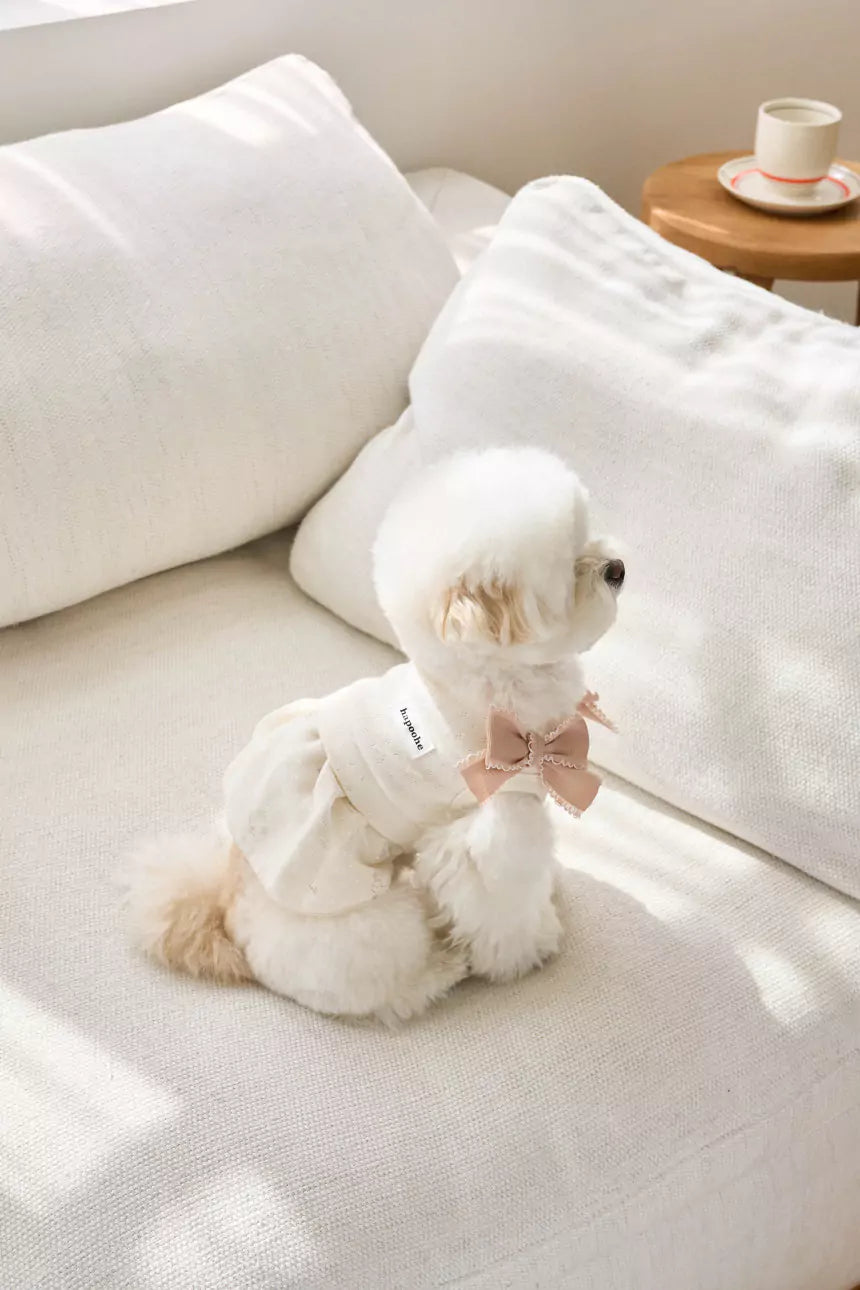 Little Etoile Dress (Ivory)
