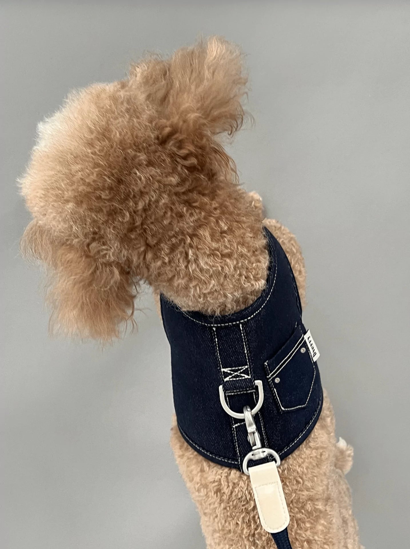 Raw Denim Harness 
(Navy)