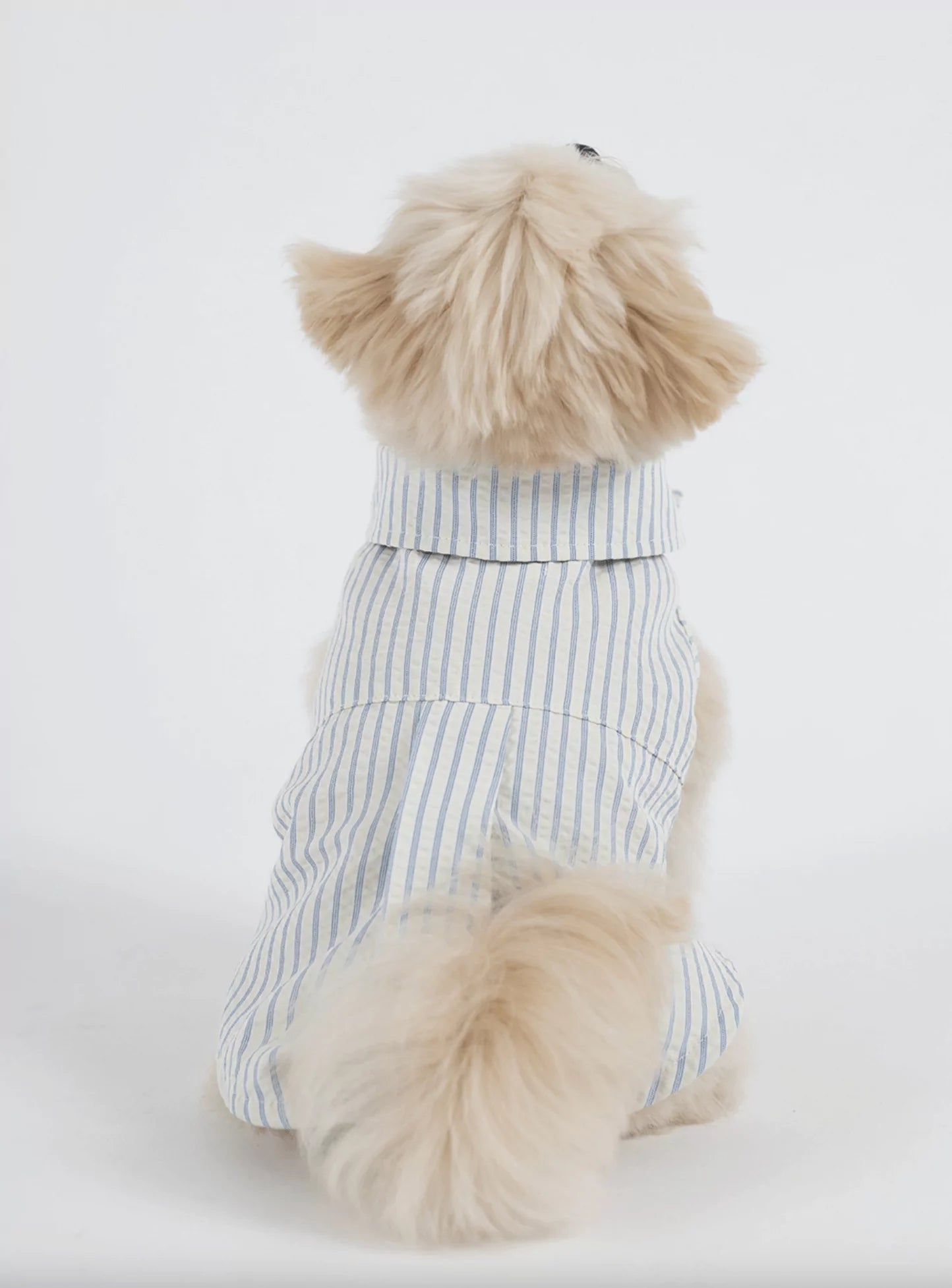 Sheaker Shirt 
(Stripe)