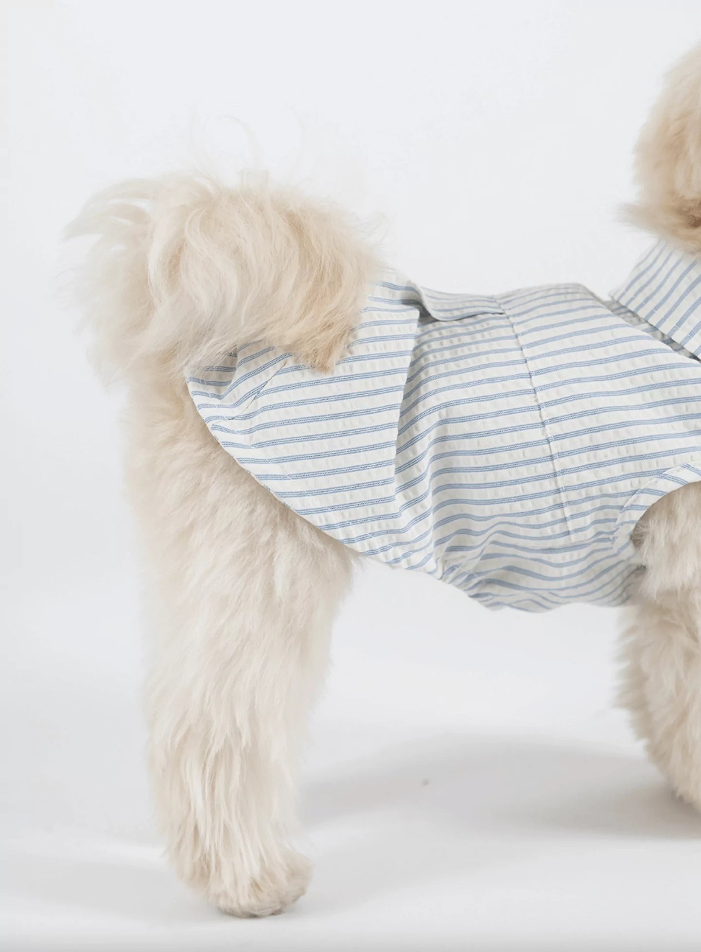 Sheaker Shirt 
(Stripe)