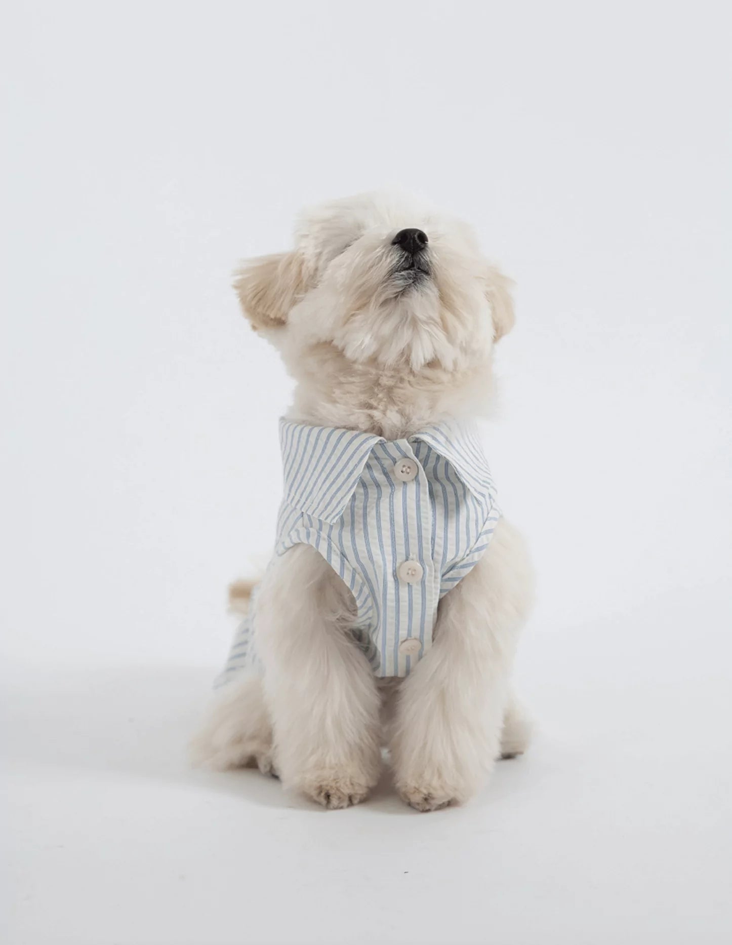 Sheaker Shirt 
(Stripe)