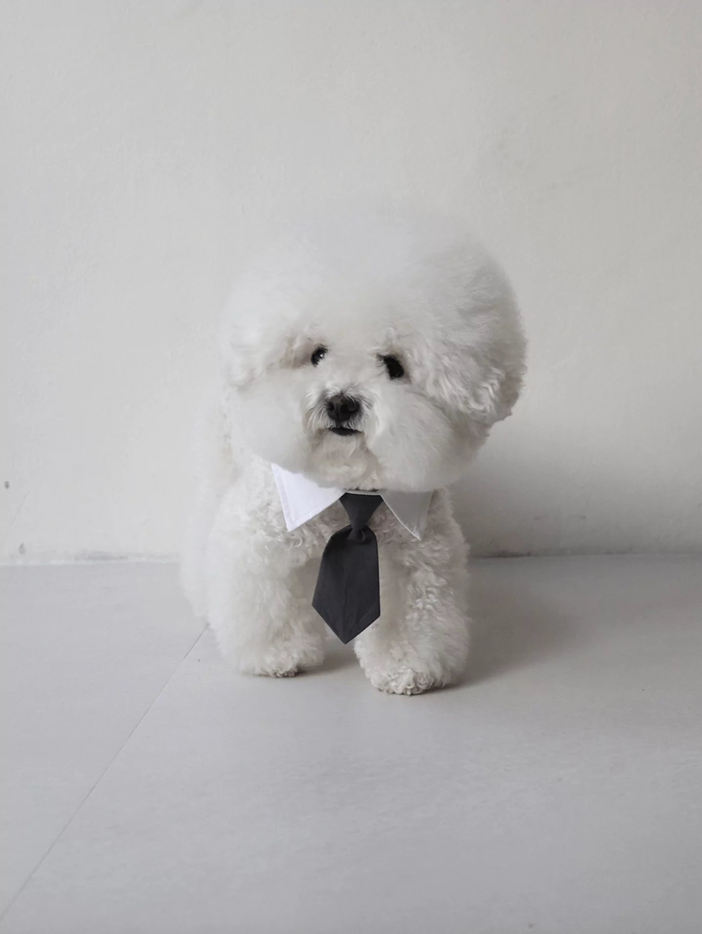 Charcoal Tie
