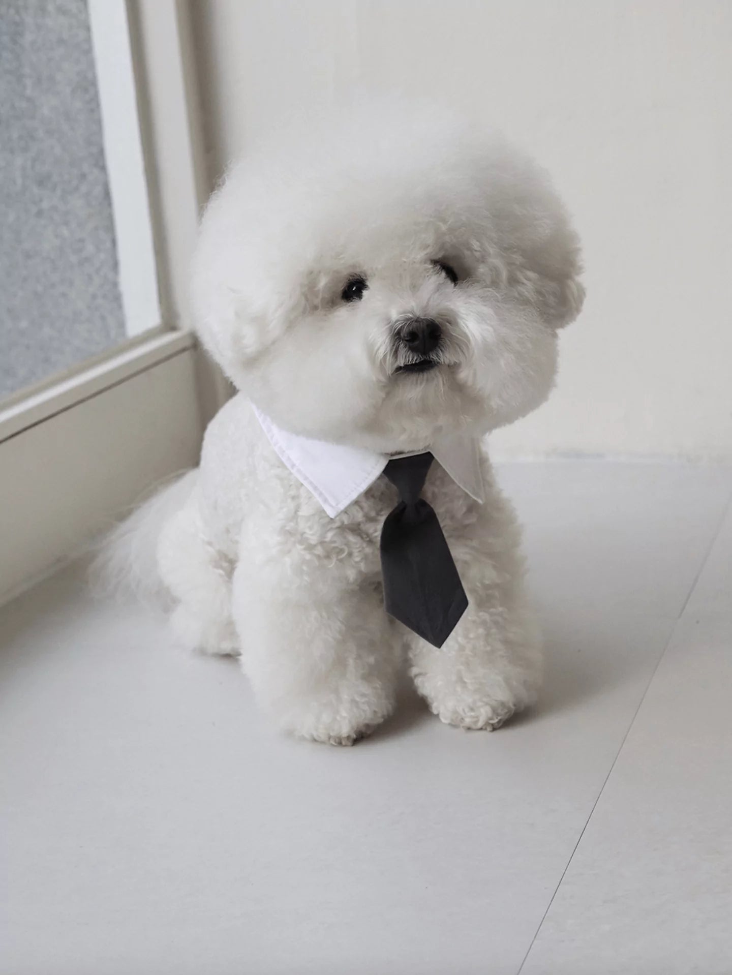 Charcoal Tie