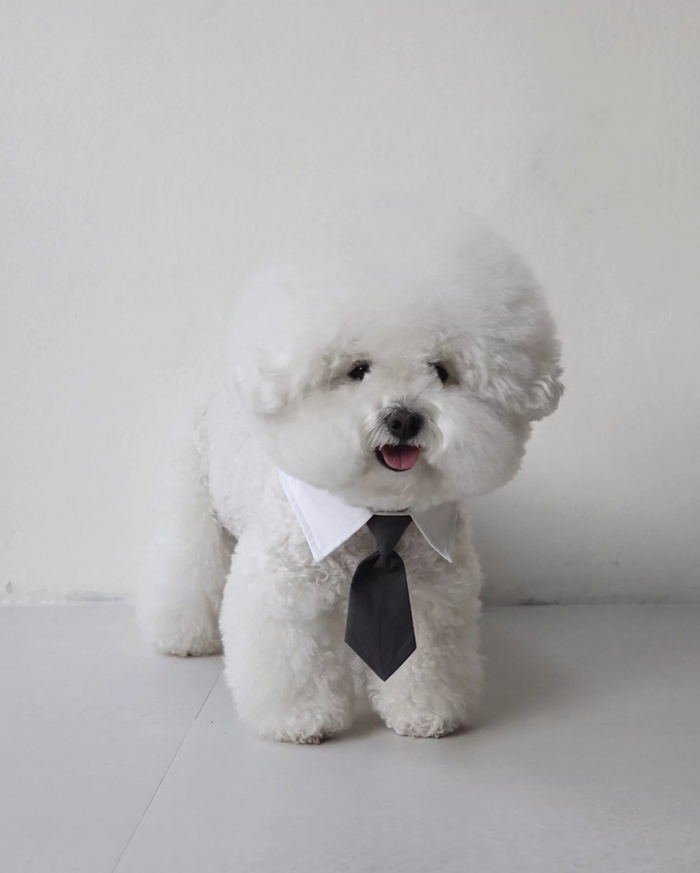Charcoal Tie