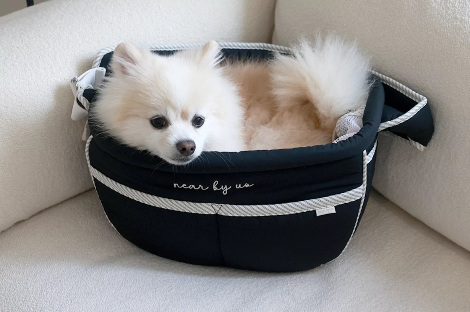 Black Tarte Bag (With Cushion)