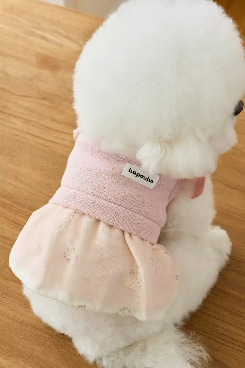 Little Etoile Dress (Pink)
