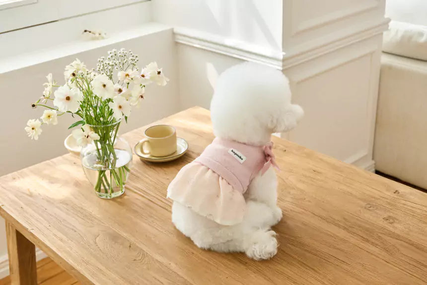 Little Etoile Dress (Pink)