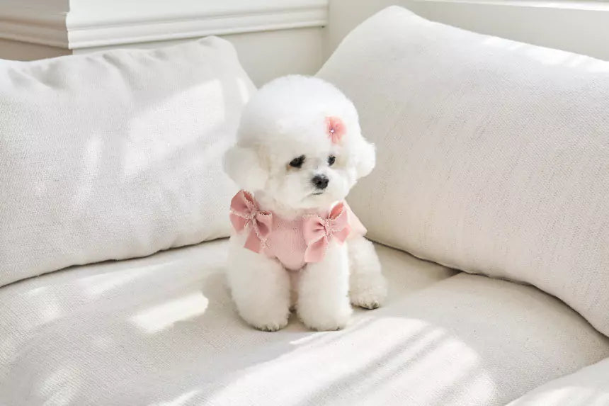Little Etoile Dress (Pink)