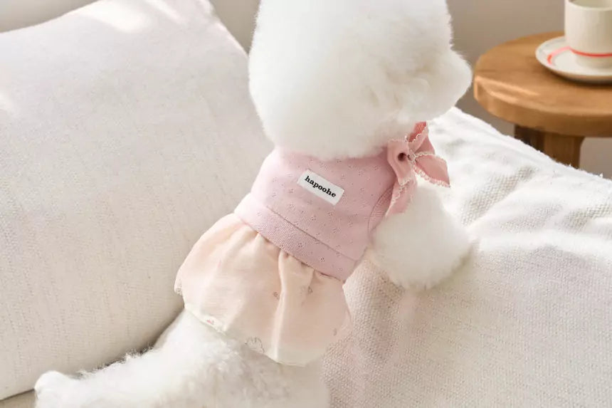 Little Etoile Dress (Pink)