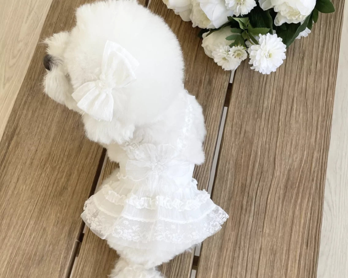 Pure Bustier Harness