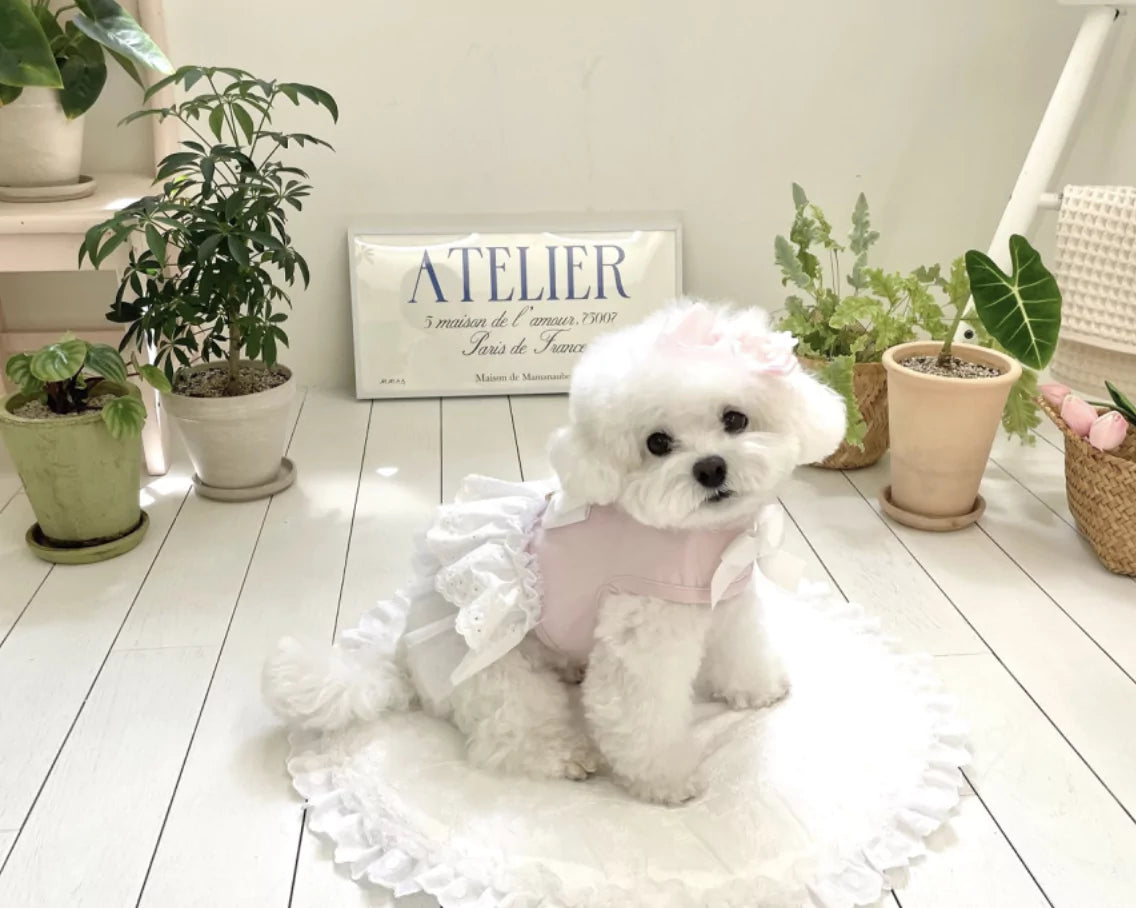 Lovely Harness Soft Pink