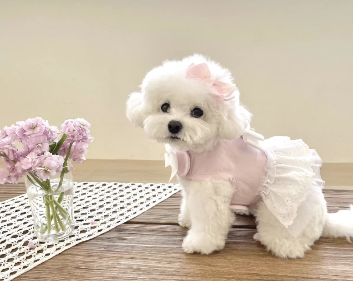 Lovely Harness Soft Pink