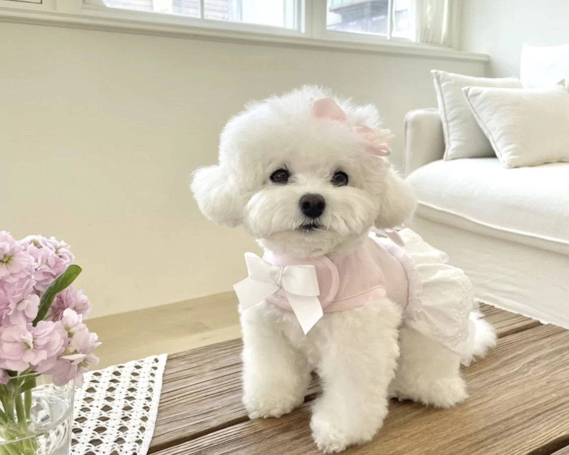 Lovely Harness Soft Pink