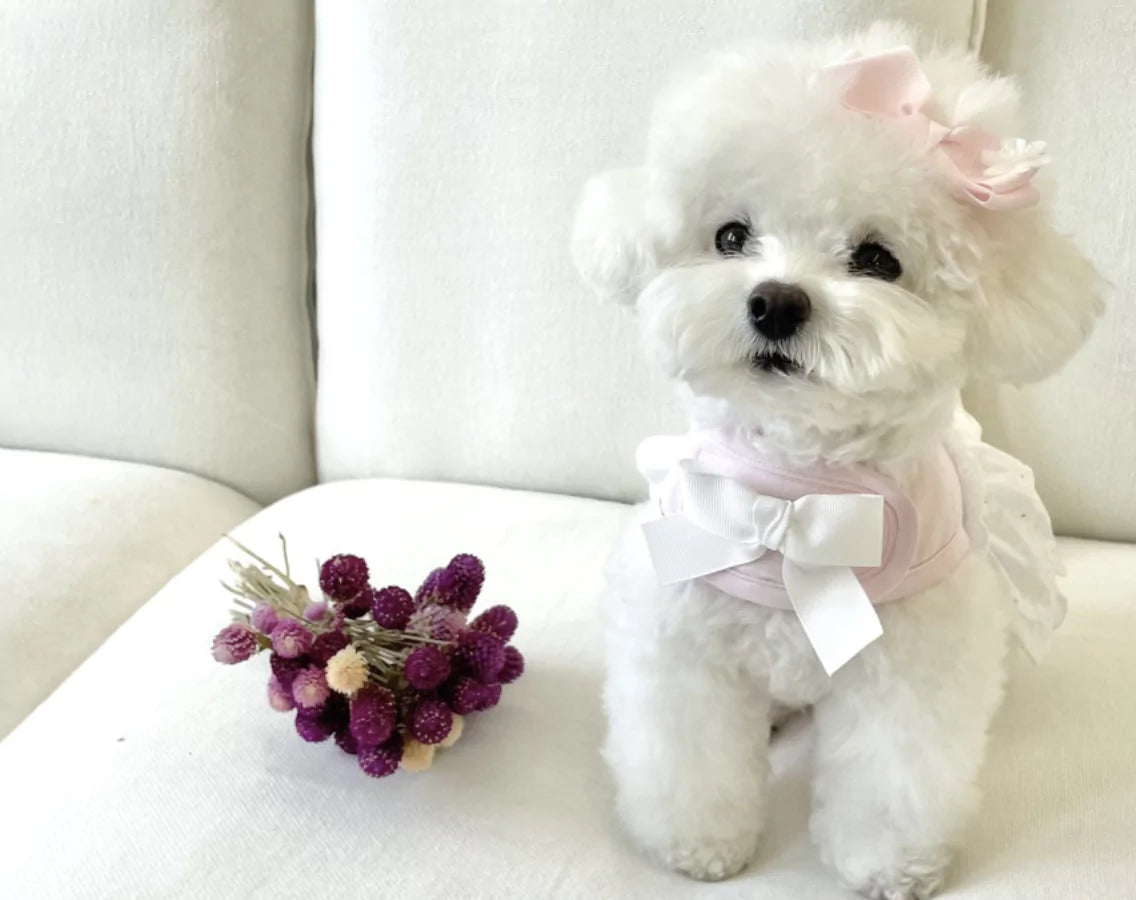 Lovely Harness Soft Pink