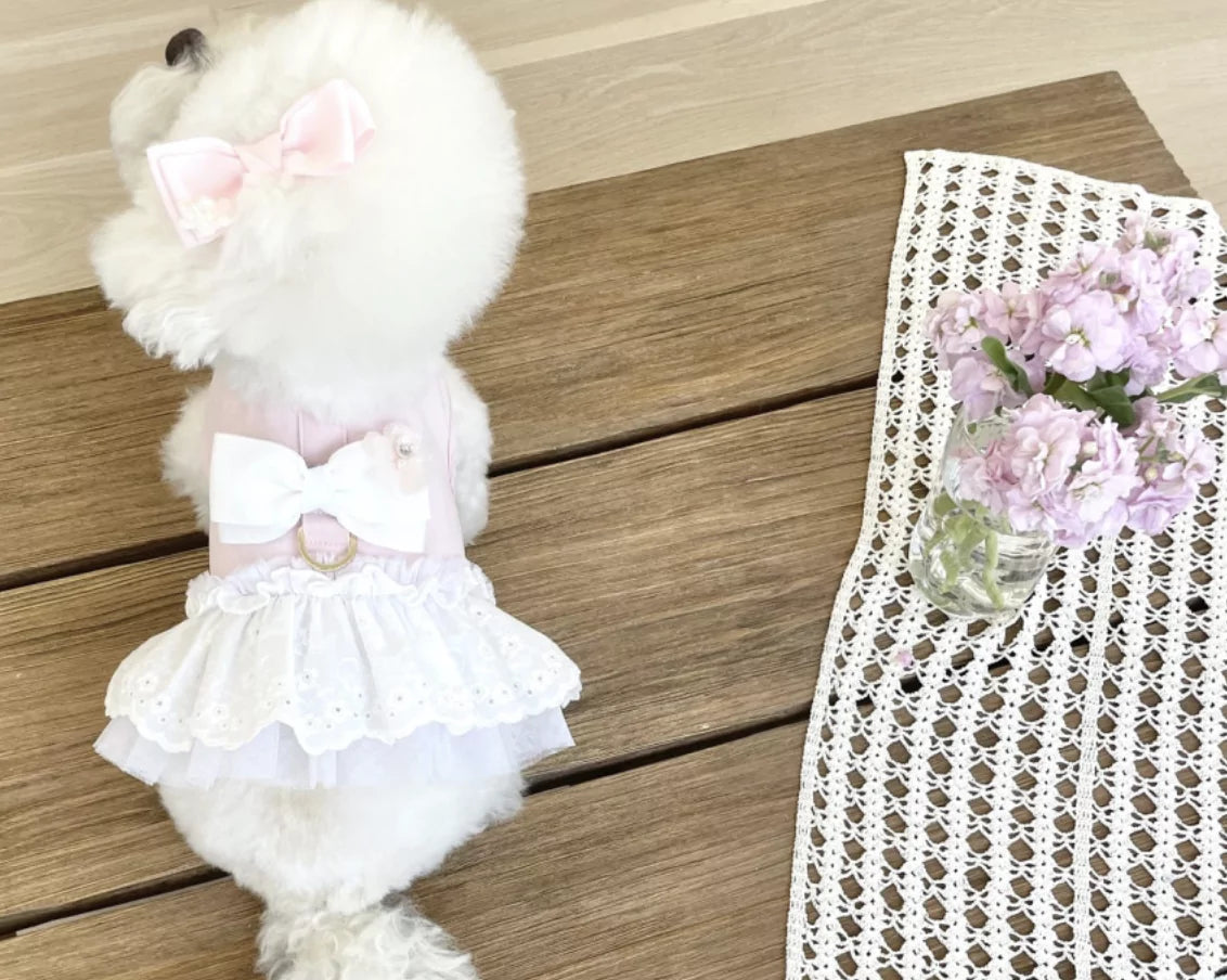 Lovely Harness Soft Pink