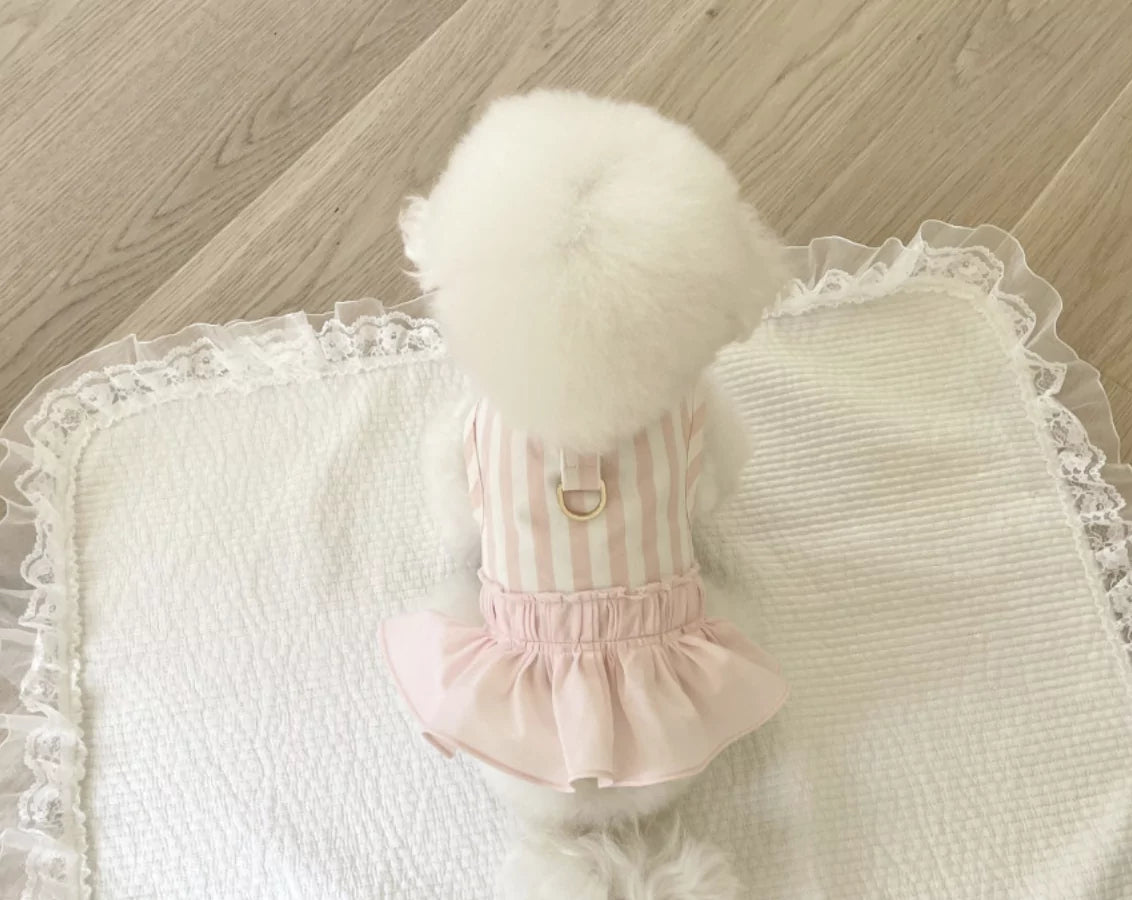 Stripe Harness
