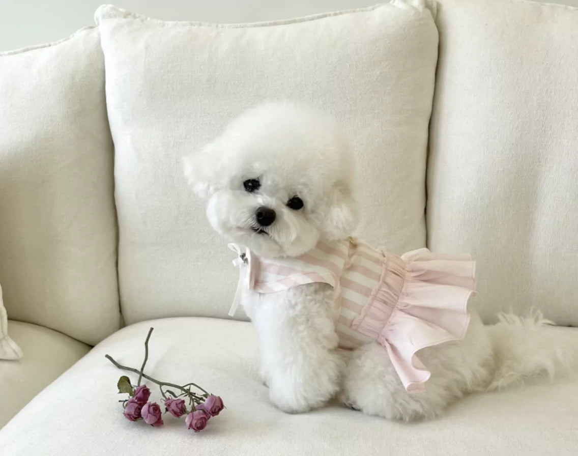 Stripe Harness
