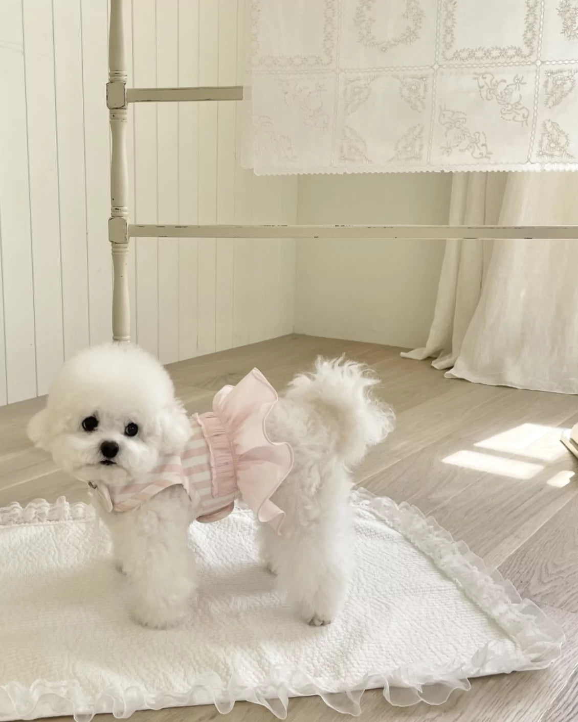 Stripe Harness