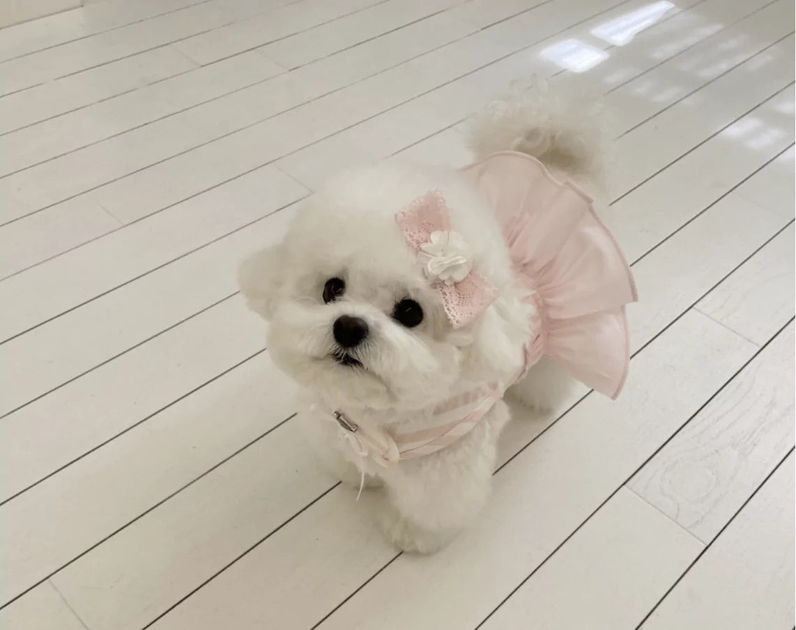 Stripe Harness