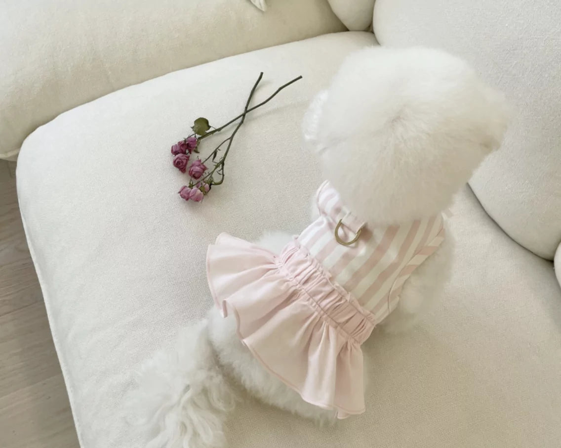 Stripe Harness