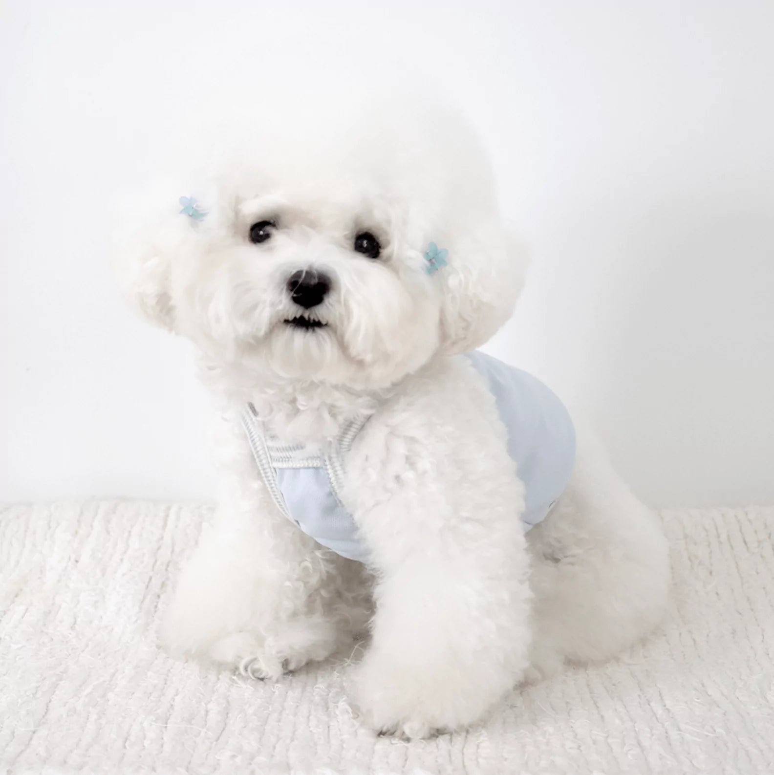 New summer cool top (baby blue) Crop