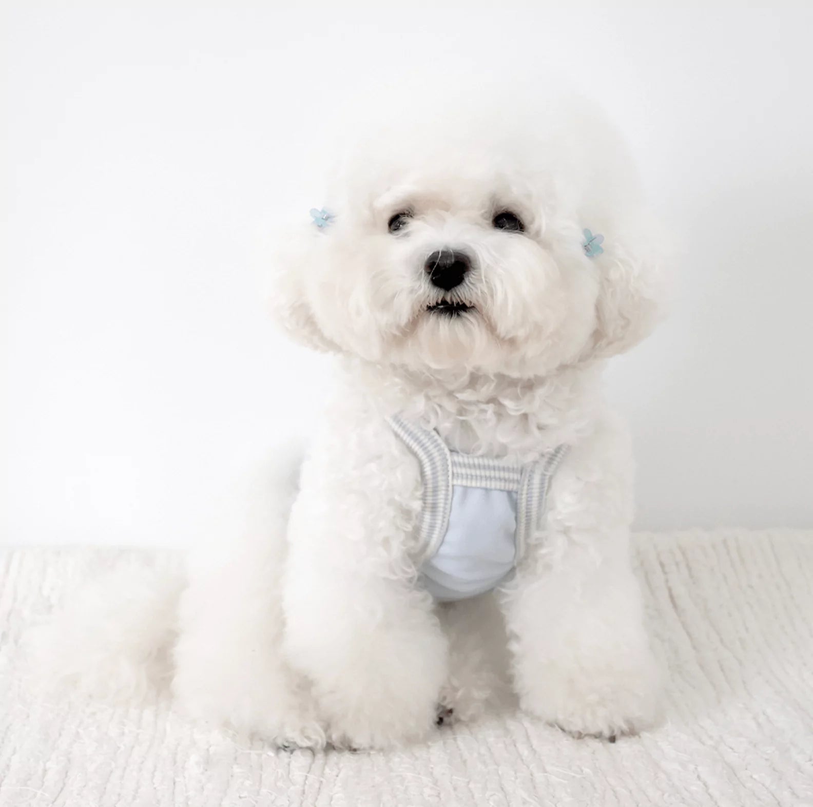 New summer cool top (baby blue) Crop