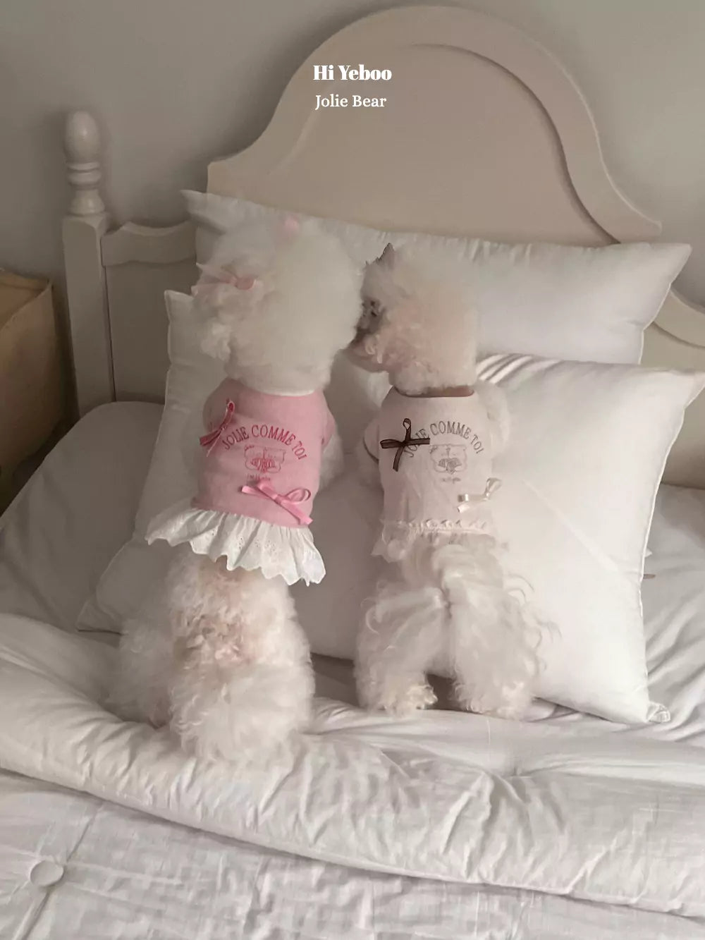 Jolie Bear (Pink)