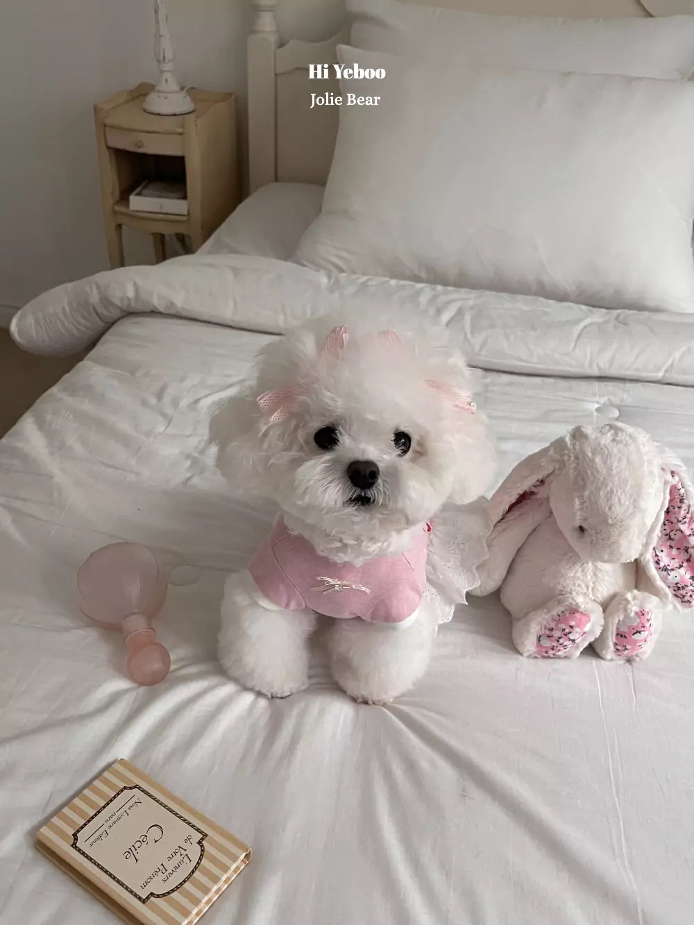 Jolie Bear (Pink)