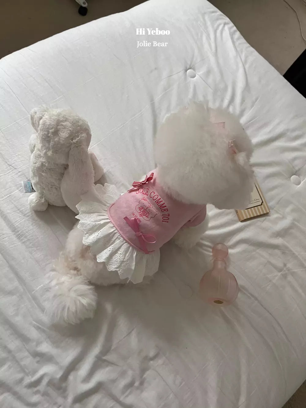 Jolie Bear (Pink)