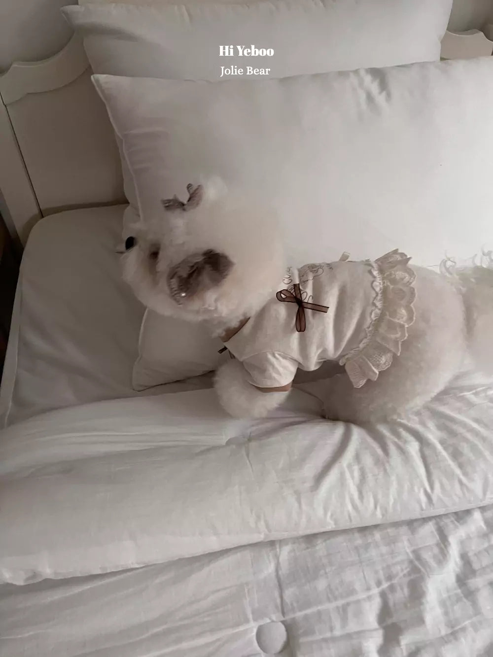 Jolie Bear (Beige)