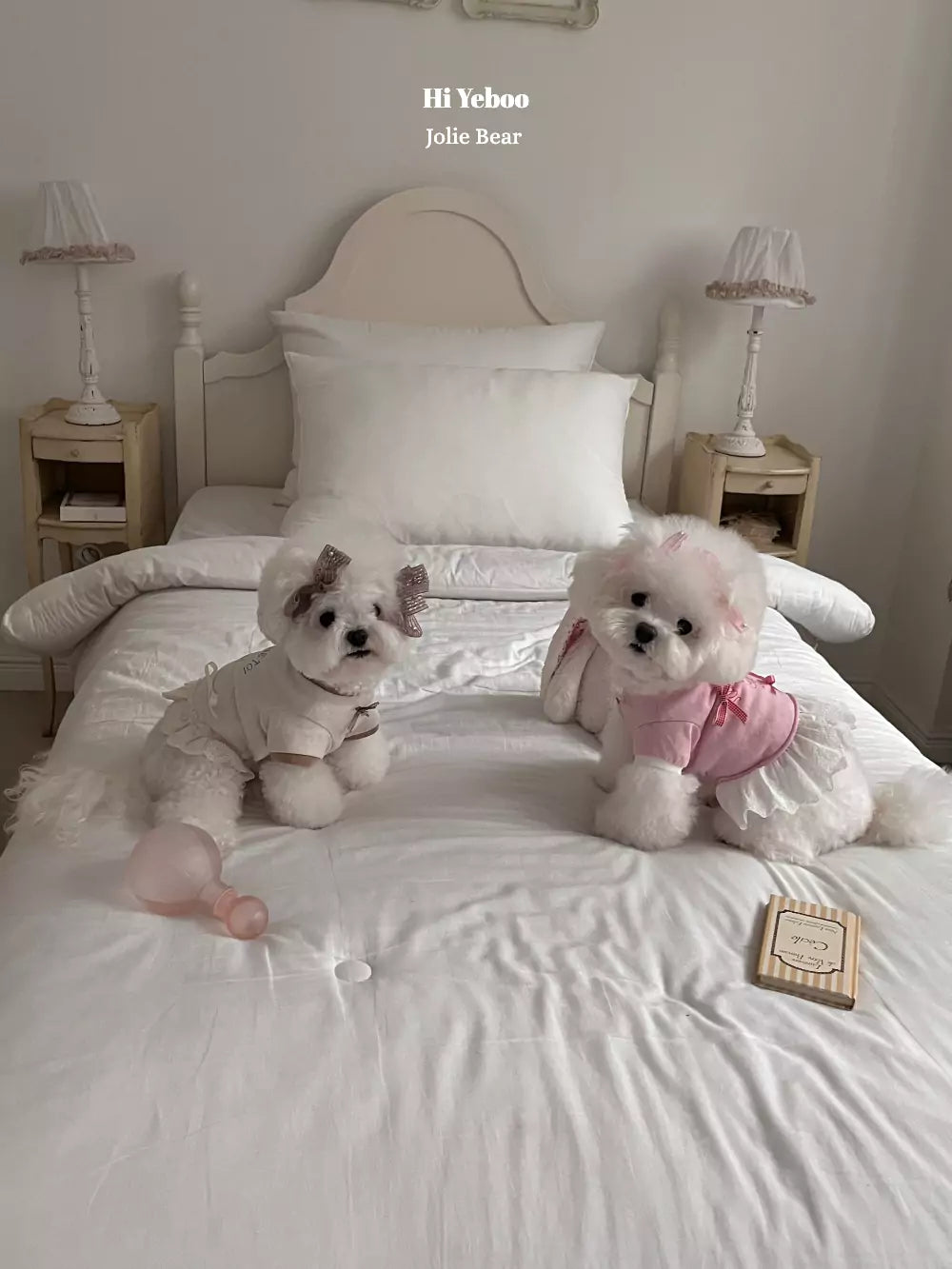 Jolie Bear (Beige)